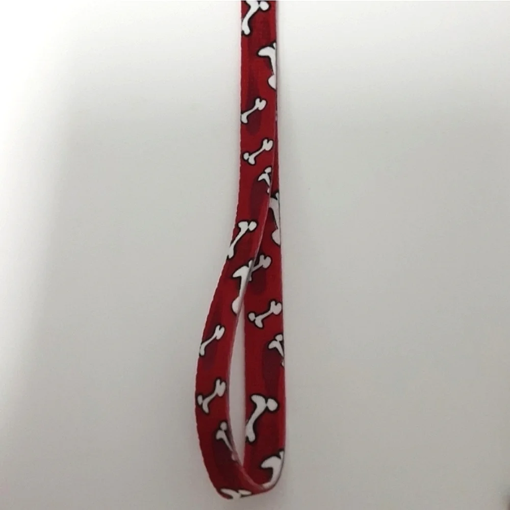 New Dog Collar and Leash Set